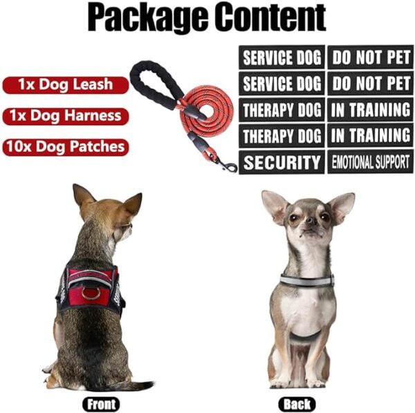 Service Dog Vest Harness and Leash Set, - Image 2