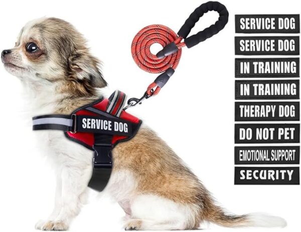 Service Dog Vest Harness and Leash Set,