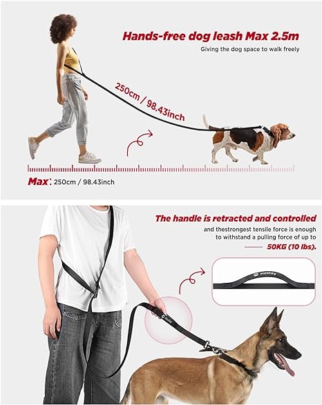 Heelay Hands Free Dog Leash - Service Pup Solutions