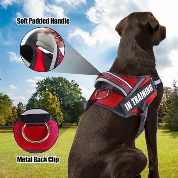 Service Dog Vest Harness and Leash Set, - Image 4