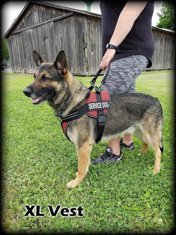 ActiveDogs Service Dog Air-Tech Mesh Service Dog Vest Harness Kit, Size Medium Red - Image 2