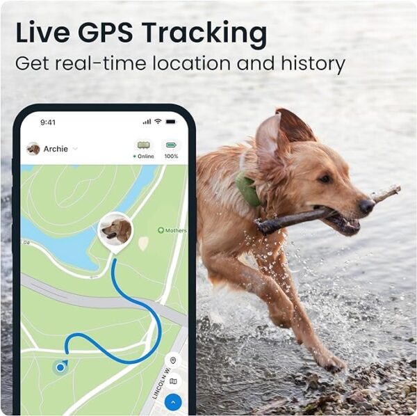 Tractive XL GPS Tracker & Health Monitoring for Dogs (50 lbs+) - Image 3