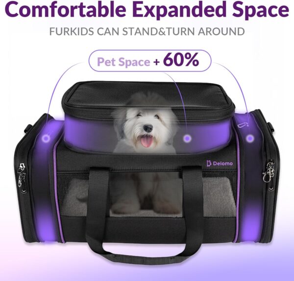 Pet Carrier - Image 4